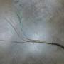 longciswatertempsensor.jpg