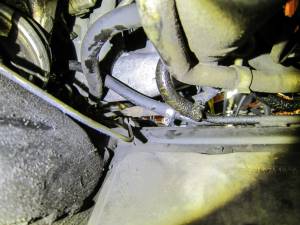 powersteeringhoseclamp.jpg